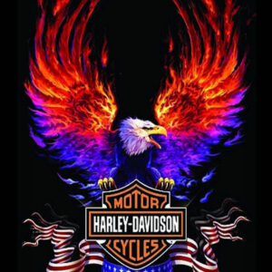 charles torno Gallery