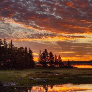 norman fraser Gallery