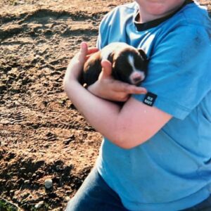 beverly gagne Gallery