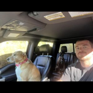 beverly gagne Gallery