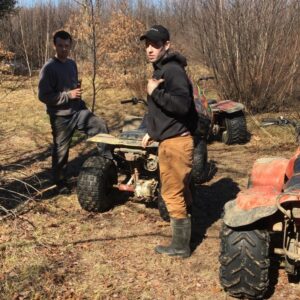 beverly gagne Gallery