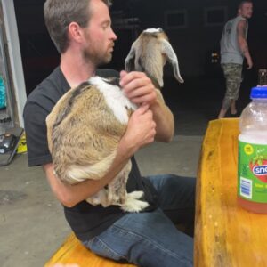 beverly gagne Gallery