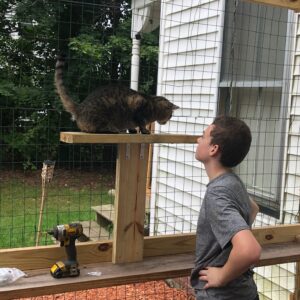 bertha gendreau Gallery