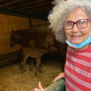 mary lou mont Gallery