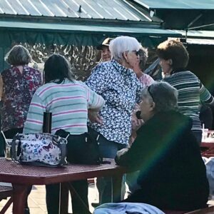 jeannette whitten Gallery