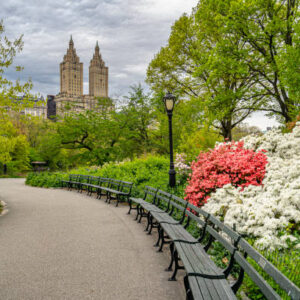 shirley dutton Gallery