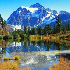 anthony graffam Gallery