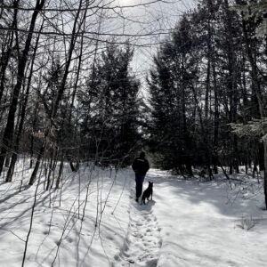 wolfgang muller Gallery