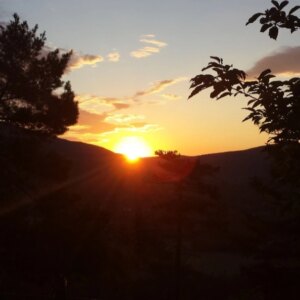 wolfgang muller Gallery