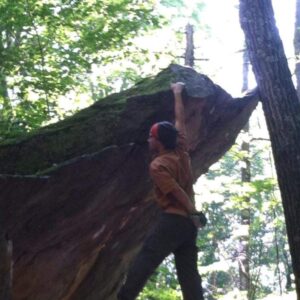 wolfgang muller Gallery