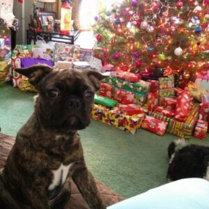 anthony graffam Gallery