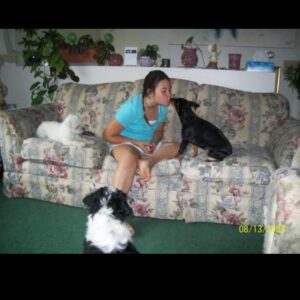 anthony graffam Gallery