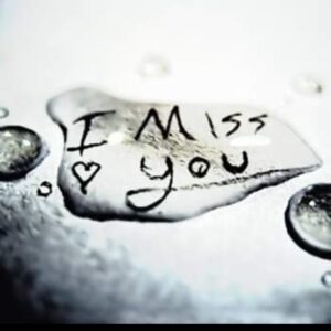 anthony graffam Gallery