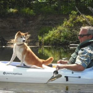 donald poolesr Gallery