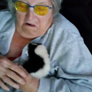 donald poolesr Gallery