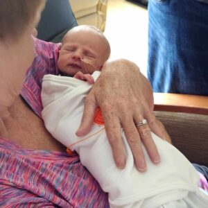 donald poolesr Gallery