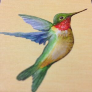 william downs jr. Gallery