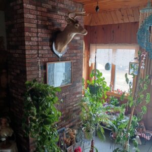 alan robichaud Gallery