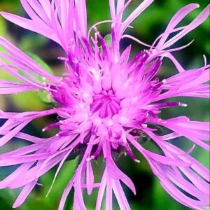 alan robichaud Gallery