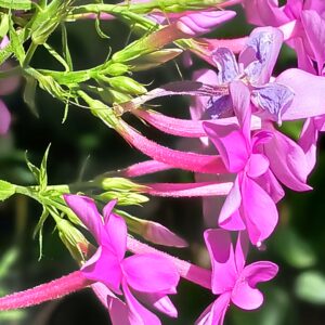 alan robichaud Gallery