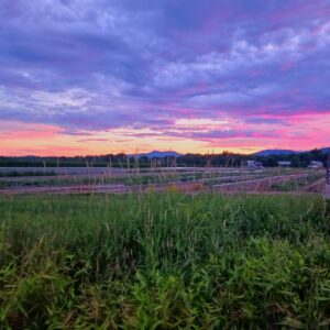 alan robichaud Gallery