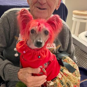 richard sevigney Gallery