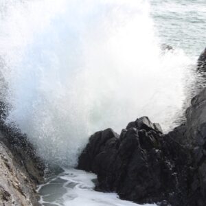 phyllis hayden Gallery