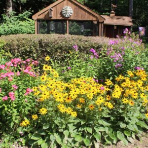 phyllis hayden Gallery