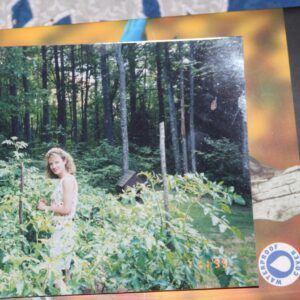 phyllis hayden Gallery