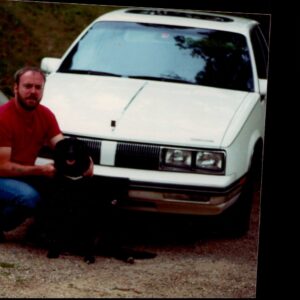 albert phillips Gallery