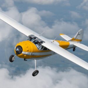 albert phillips Gallery