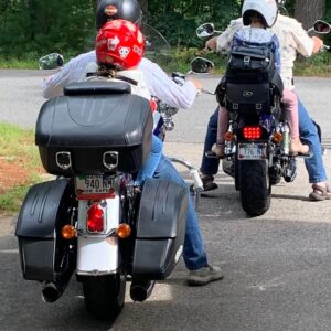 albert phillips Gallery