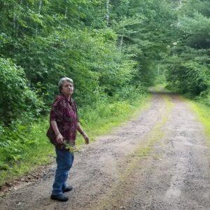 philip duchesne Gallery