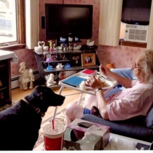 virginia debutts Gallery