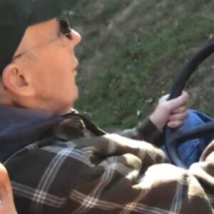 armand desrochers Gallery