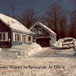 eleanor gauvreau Gallery