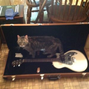 clifford cormier Gallery