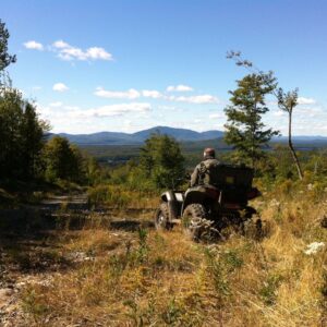 philip genest Gallery